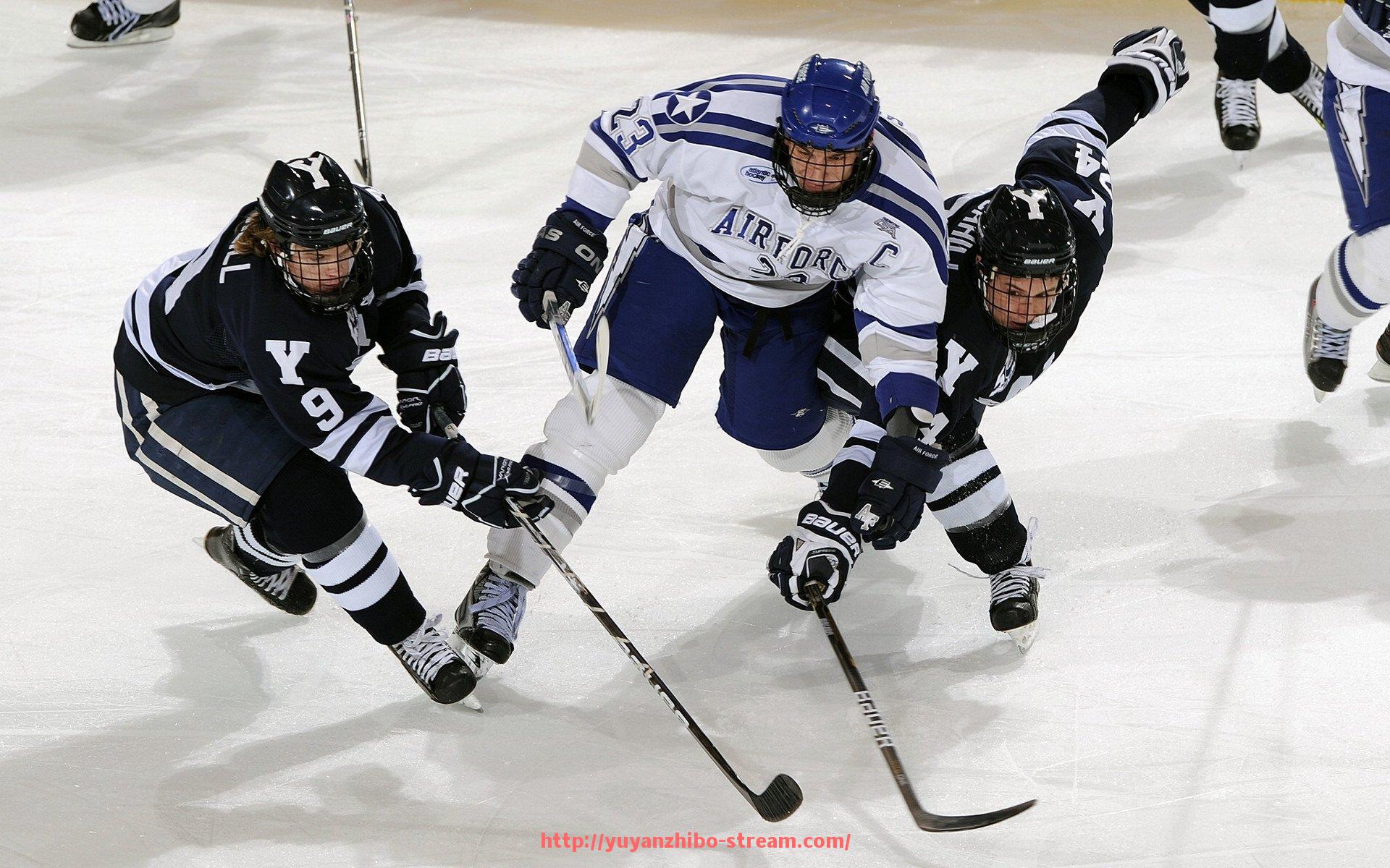 雨燕直播-世俱杯赞助权益评估指标体系构建与应用分析