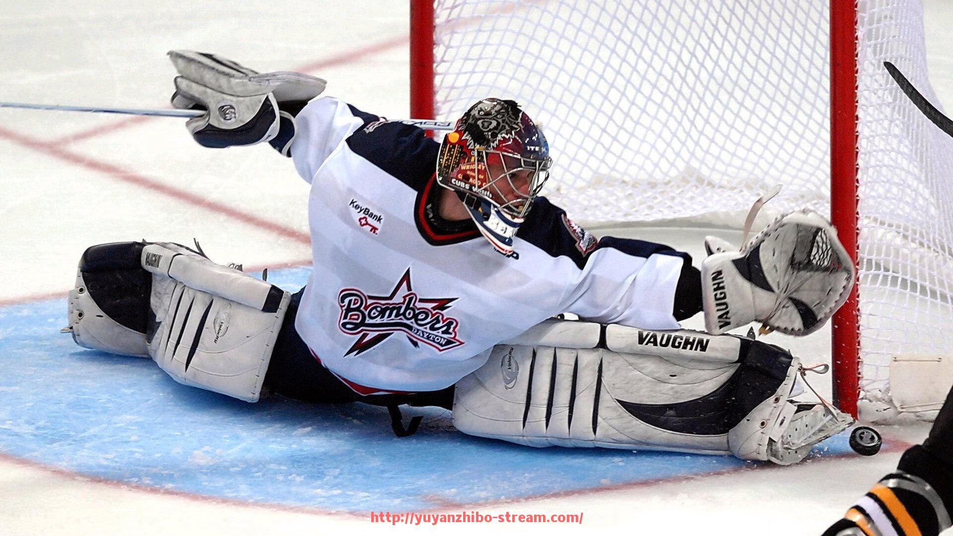 雨燕直播-两手健身器材的使用方法及训练效果