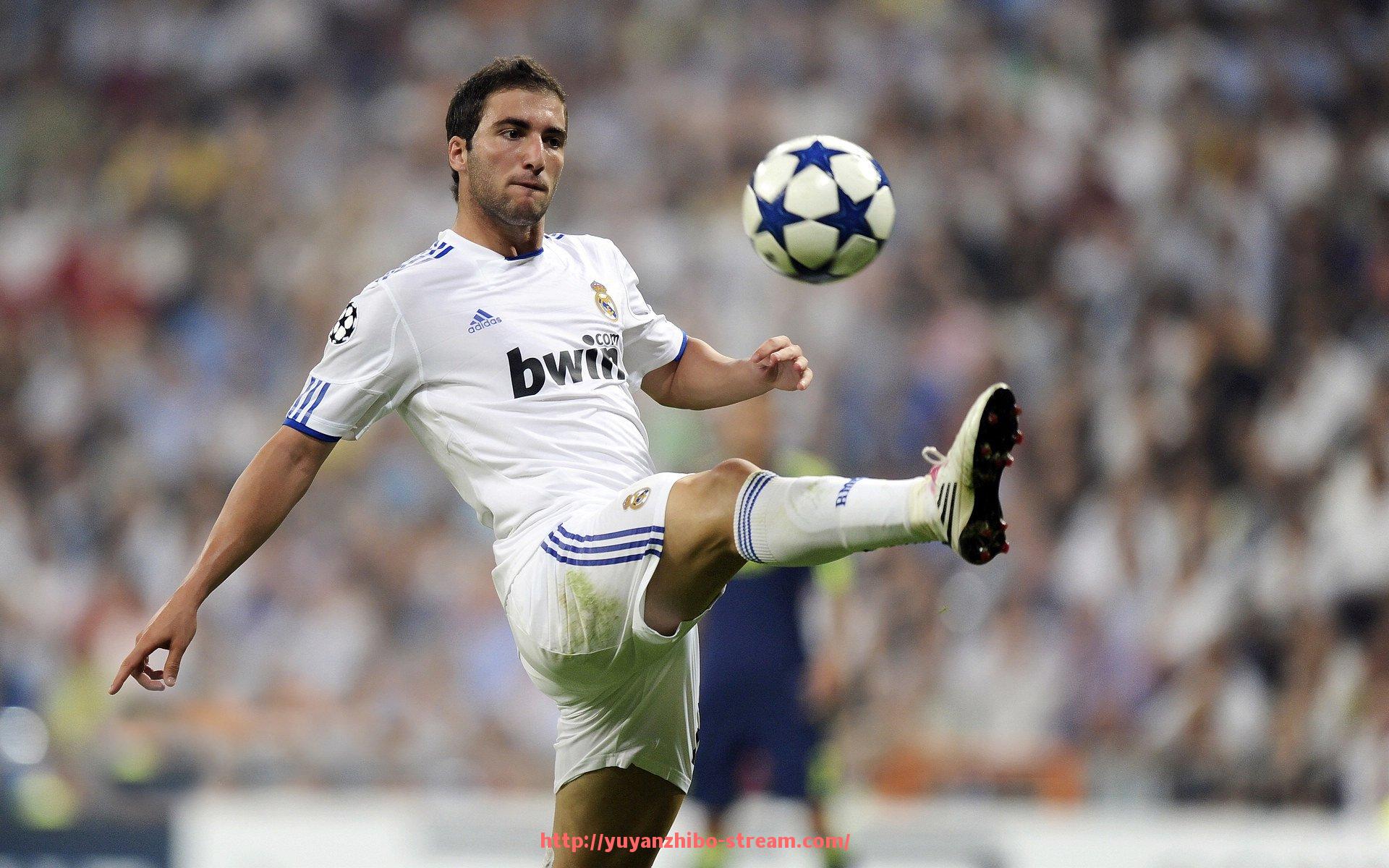 雨燕直播-划船健身器材配件购买指南:如何选择合适的配件提升训练效果