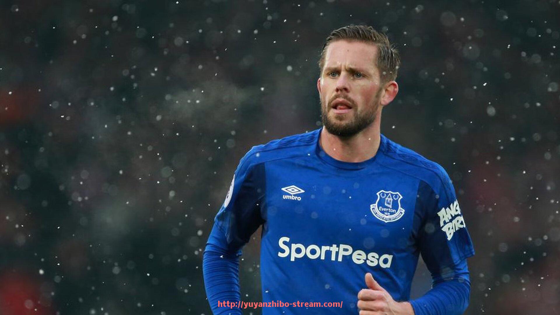 雨燕直播-屈腿训练专用健身器材介绍与使用效果说明