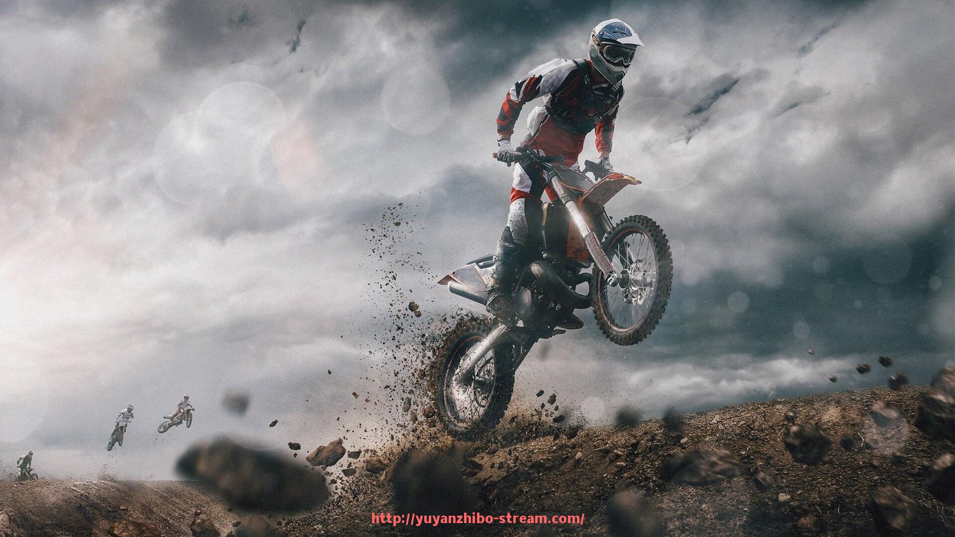 雨燕直播-室内健身器材的材质分类及使用安全性分析